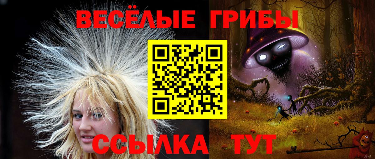Галлюциногенные грибы мицелий  Вход с VPN  Мурманск 