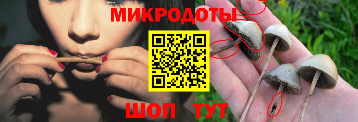 Галлюциногенные грибы мухоморы Мурманск